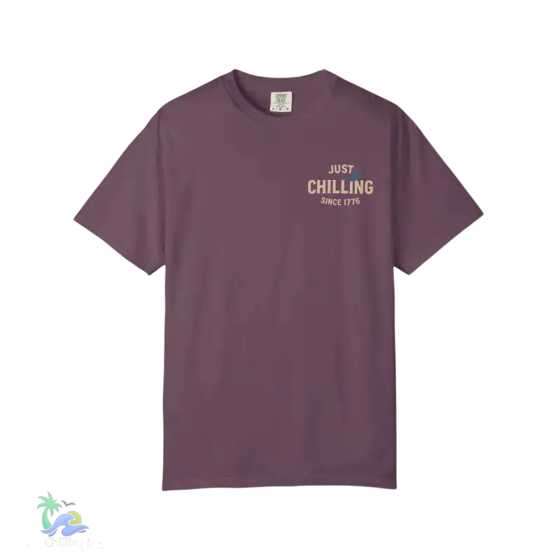 American Eagle FAFO Tee – USA Proud since 1776 - Berry / S - T-Shirt