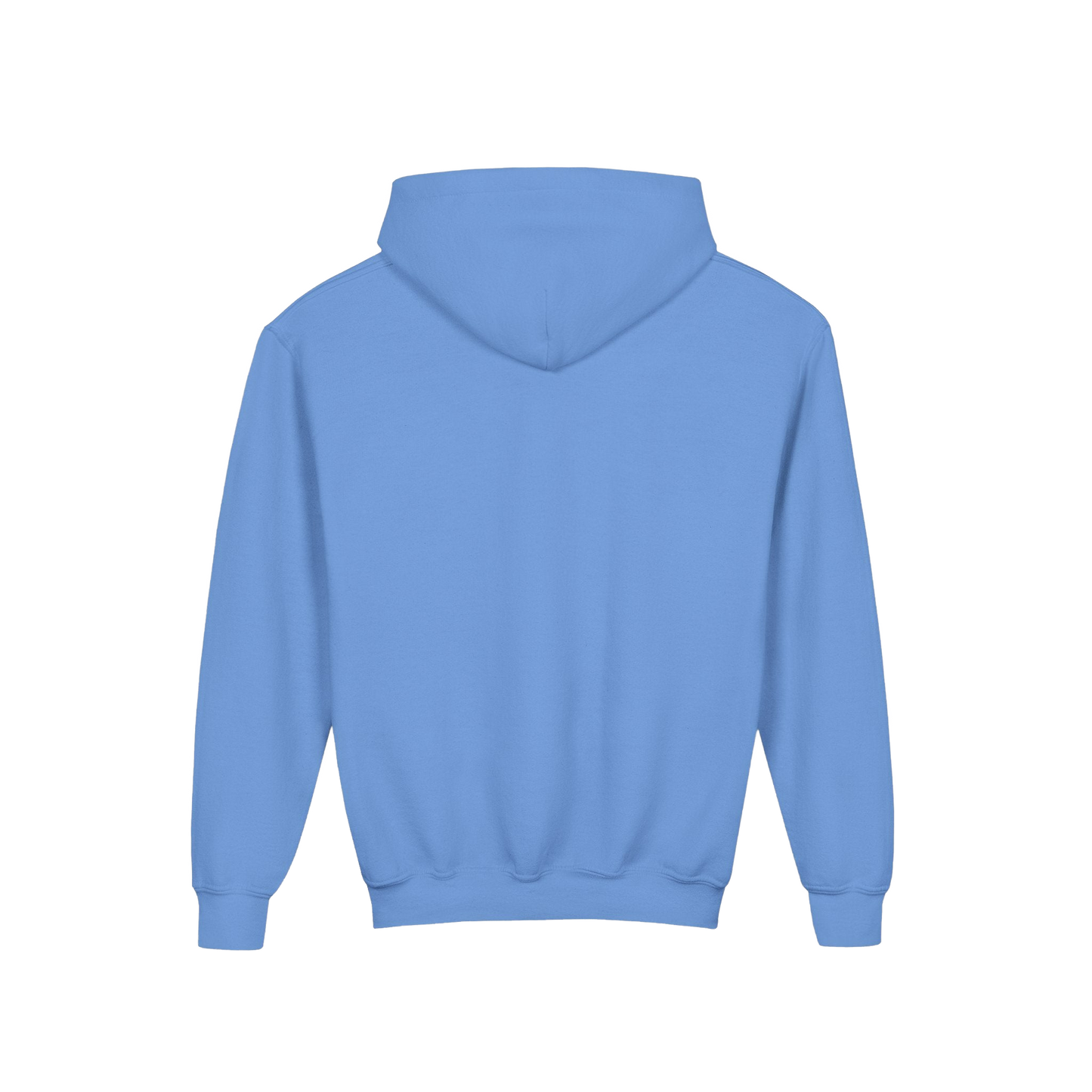 A plain, light blue hoodie with no visible text or other objects in the image.
