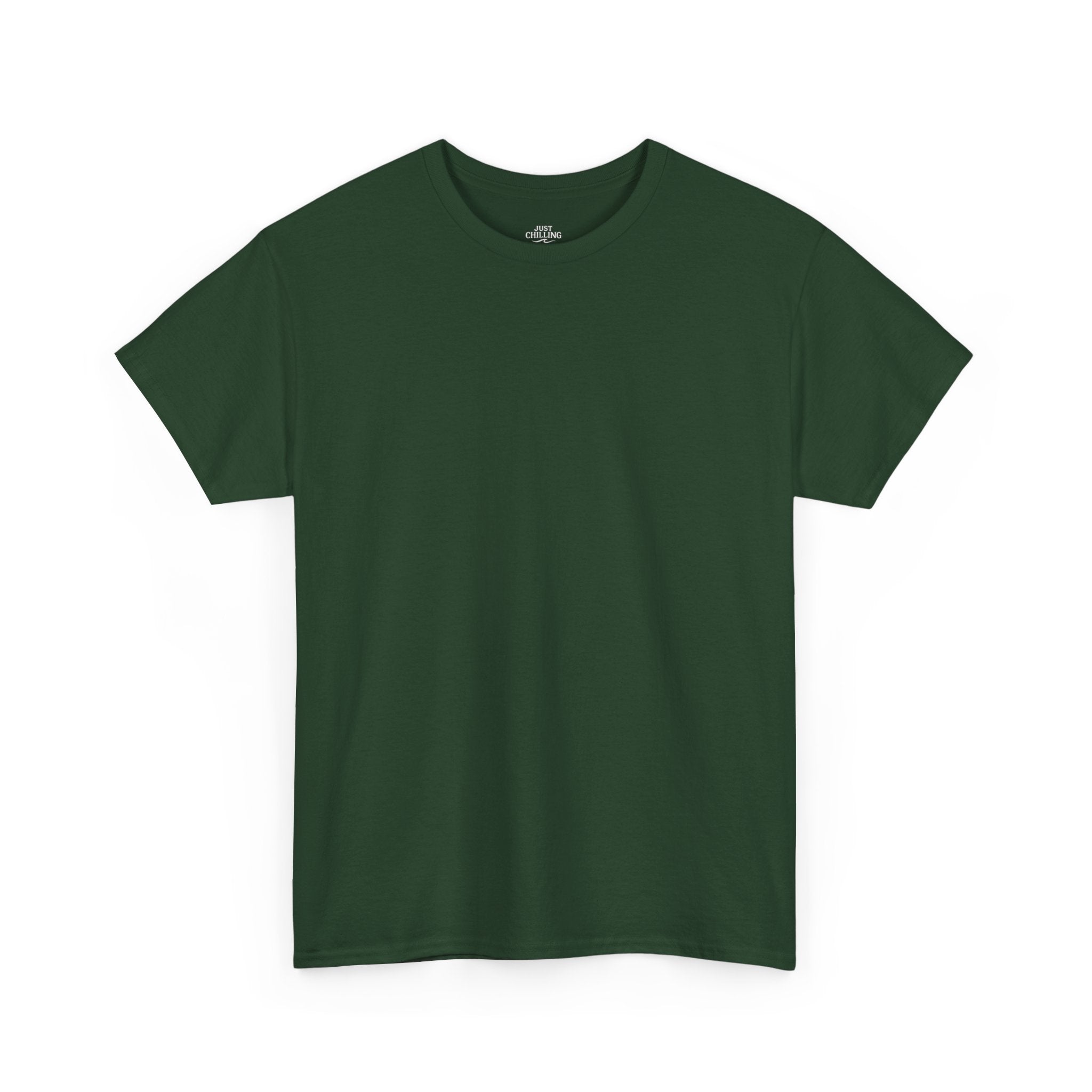 Inspirational Freedom Tee — "I Survived the Storm Now I'm Building Freedom"