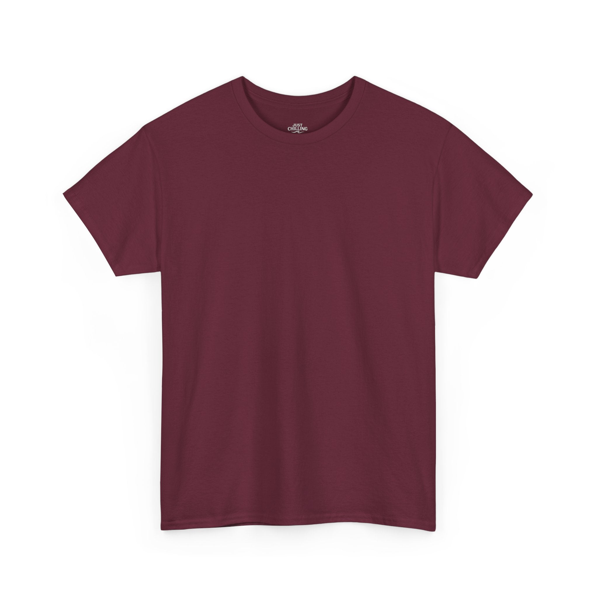 Inspirational Freedom Tee — "I Survived the Storm Now I'm Building Freedom"