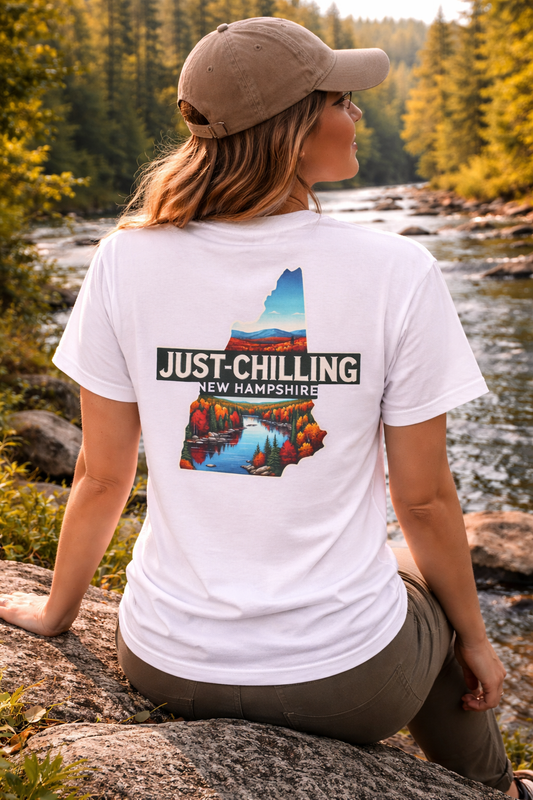 Just Chilling Unisex Heavy Cotton Tee, Relaxed Vintage Style Shirt, Great for Casual Outings, Perfect for Lazy Days, Gift for Friends, [...]