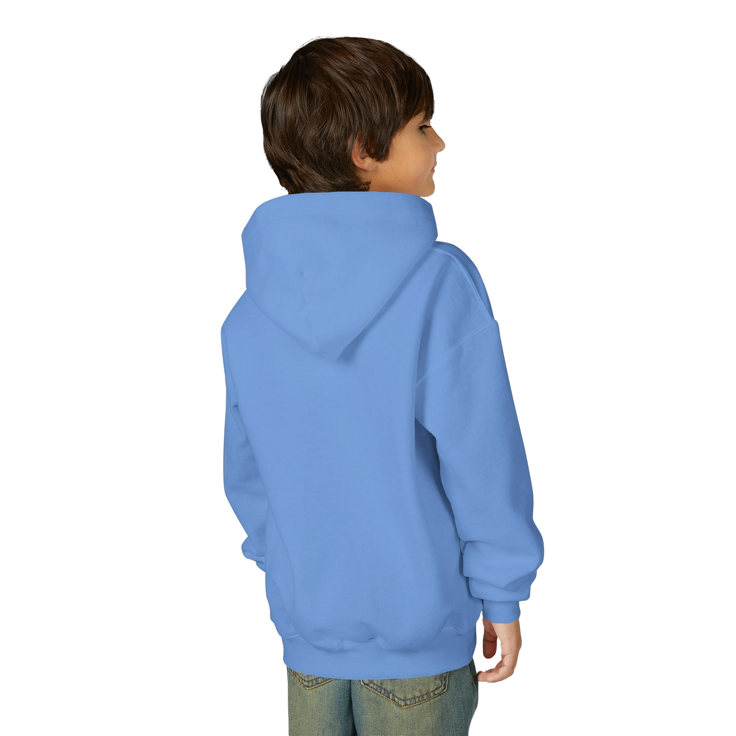 A young boy wearing a blue hoodie stands facing away from the camera.