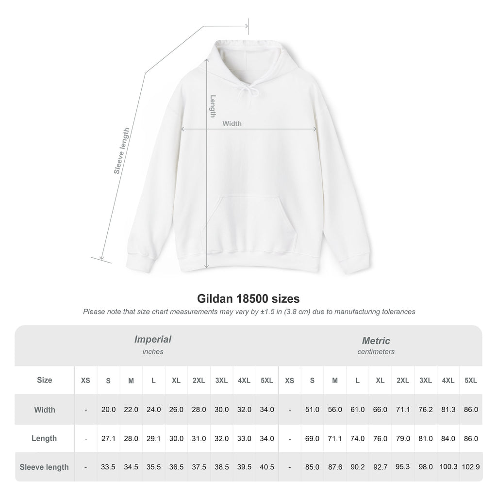 Oregon Sunset Hoodie — "Just Chillin'" Scenic Travel Pullover