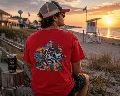Delaware Just Chilling Tee, Summer Vibes Shirt, Beach Lover Gift, Casual Comfort Top, Vacation Outfit Essential, Fun Graphic T-Shirt